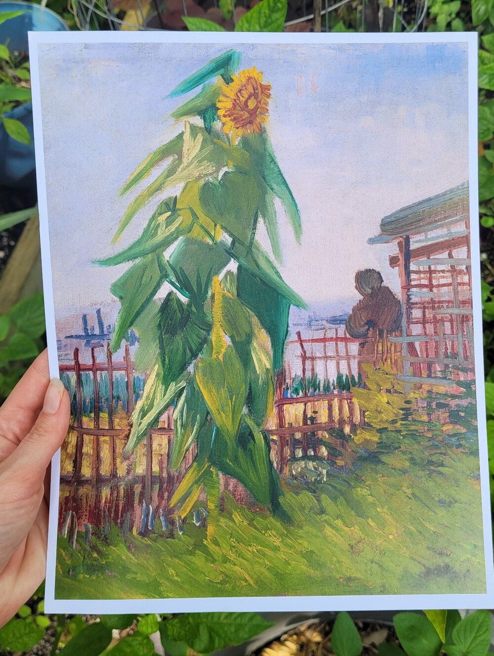 Sunflower Garden Art Print - Green and Yellow